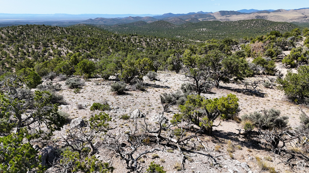 123  TBD PROUT WASH RD Cedar City, UT 84721