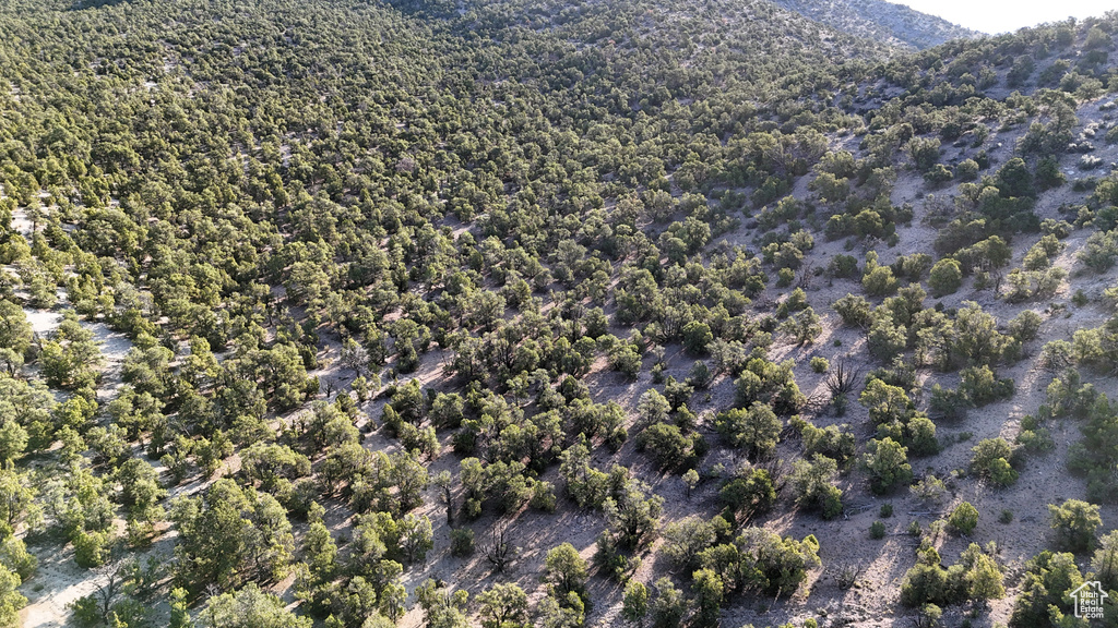 123  TBD PROUT WASH RD Cedar City, UT 84721