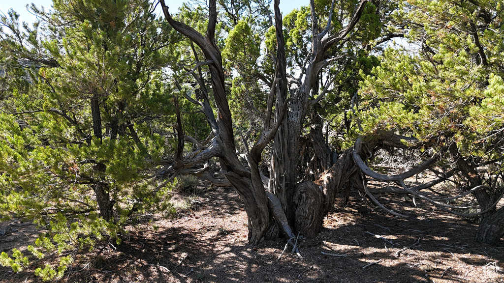 123  TBD PROUT WASH RD Cedar City, UT 84721