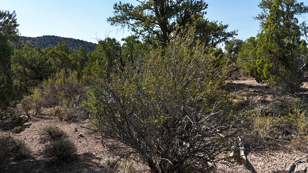 123  TBD PROUT WASH RD Cedar City, UT 84721