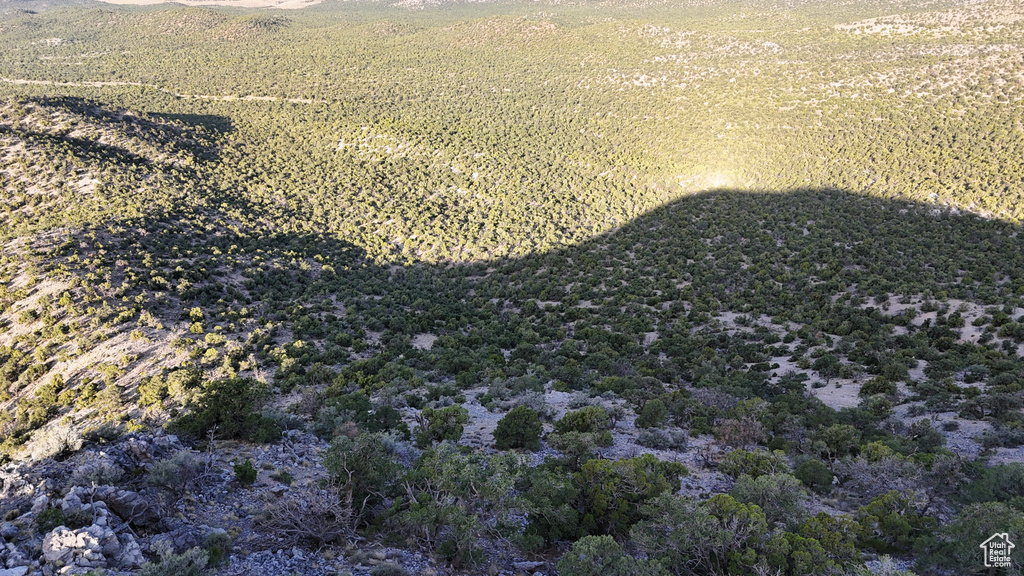 123  TBD PROUT WASH RD Cedar City, UT 84721