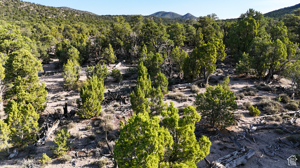 123  TBD PROUT WASH RD Cedar City, UT 84721