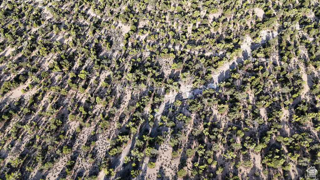 123  TBD PROUT WASH RD Cedar City, UT 84721