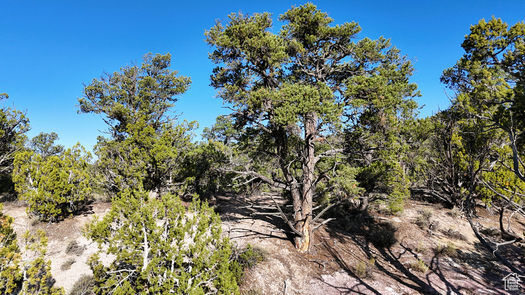 123  TBD PROUT WASH RD Cedar City, UT 84721