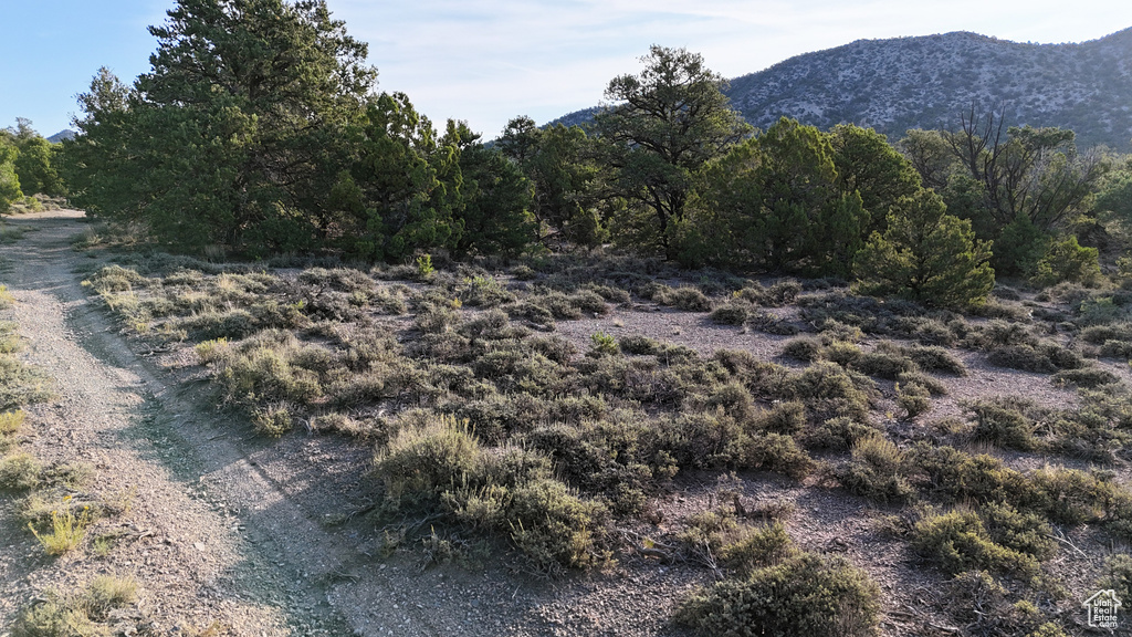 123  TBD PROUT WASH RD Cedar City, UT 84721