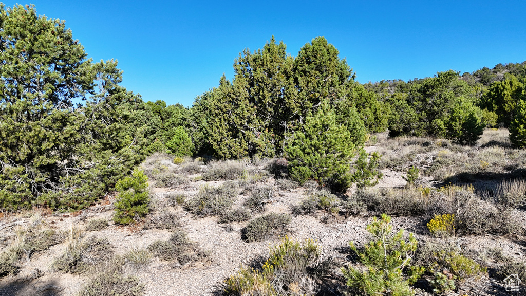 123  TBD PROUT WASH RD Cedar City, UT 84721