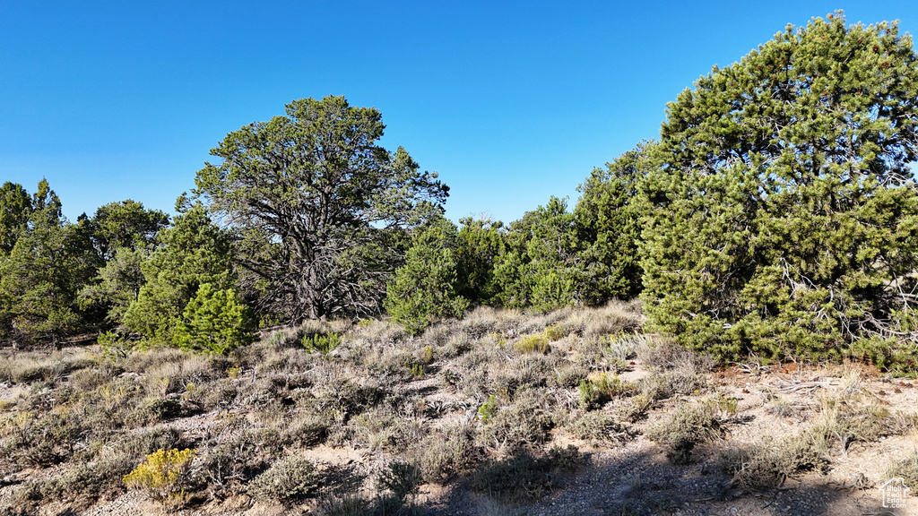 123  TBD PROUT WASH RD Cedar City, UT 84721