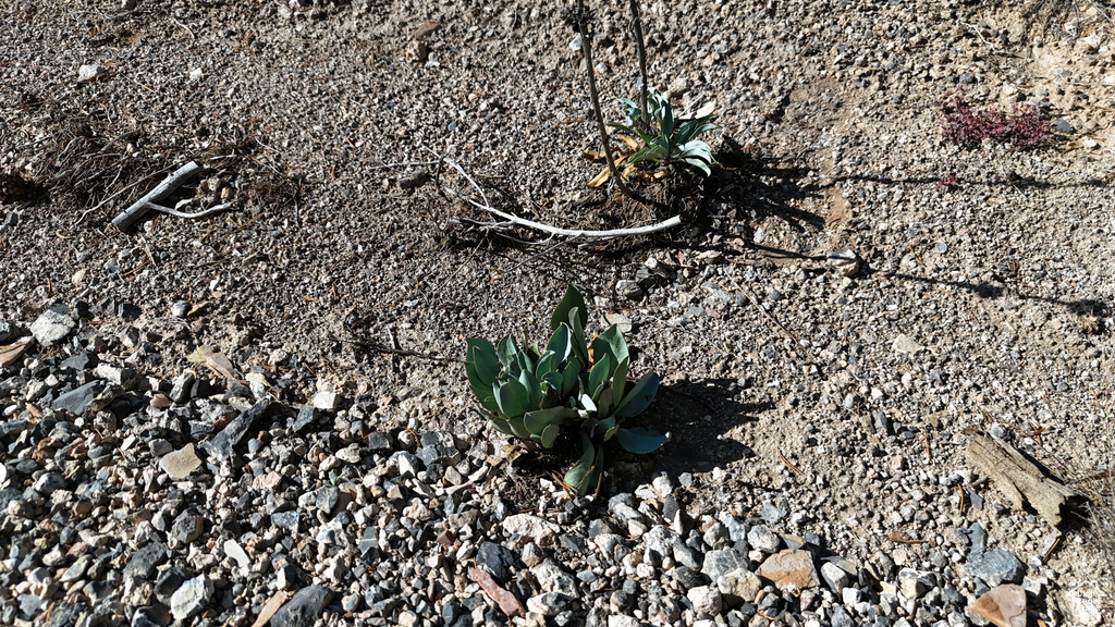 123  TBD PROUT WASH RD Cedar City, UT 84721