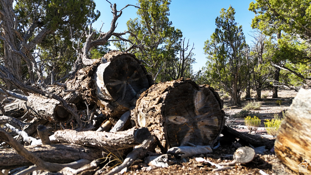 123  TBD PROUT WASH RD Cedar City, UT 84721