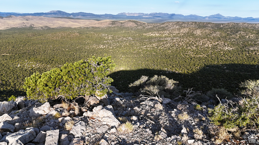 123  TBD PROUT WASH RD Cedar City, UT 84721