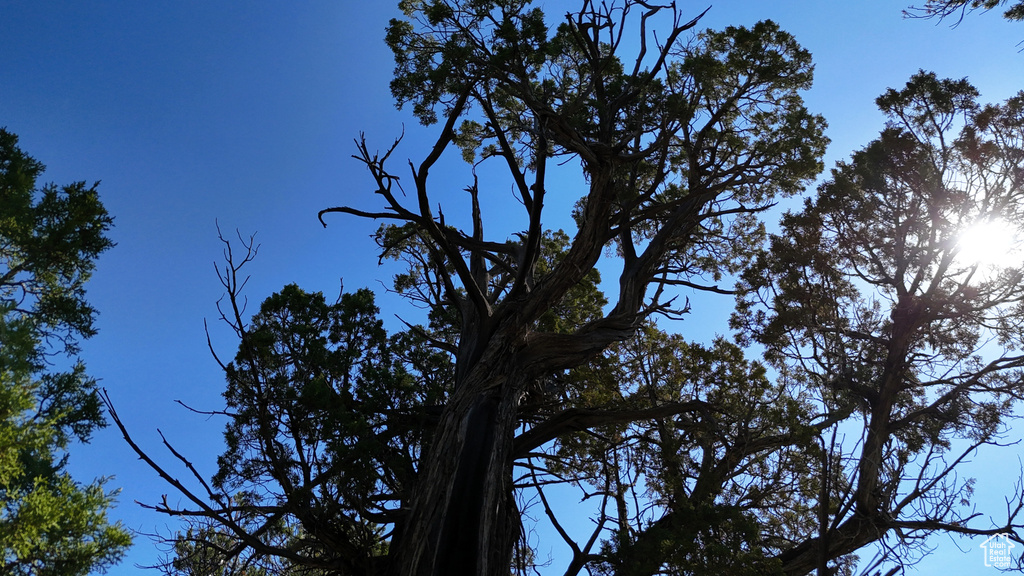 123  TBD PROUT WASH RD Cedar City, UT 84721