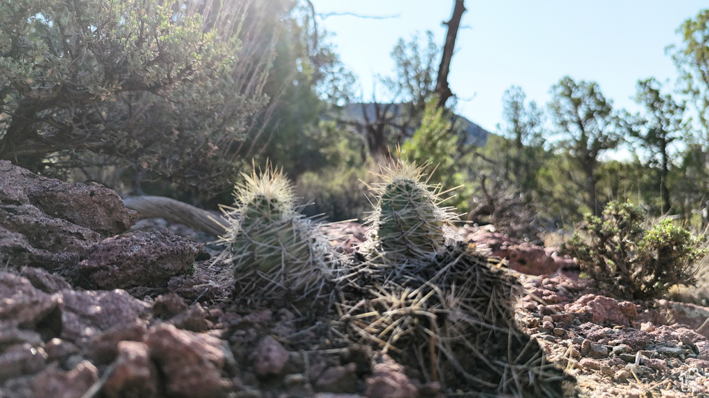 123  TBD PROUT WASH RD Cedar City, UT 84721