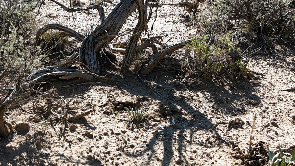 123  TBD PROUT WASH RD Cedar City, UT 84721