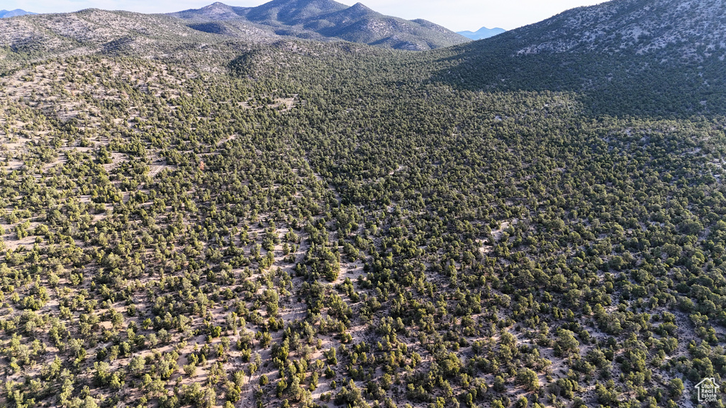 123  TBD PROUT WASH RD Cedar City, UT 84721