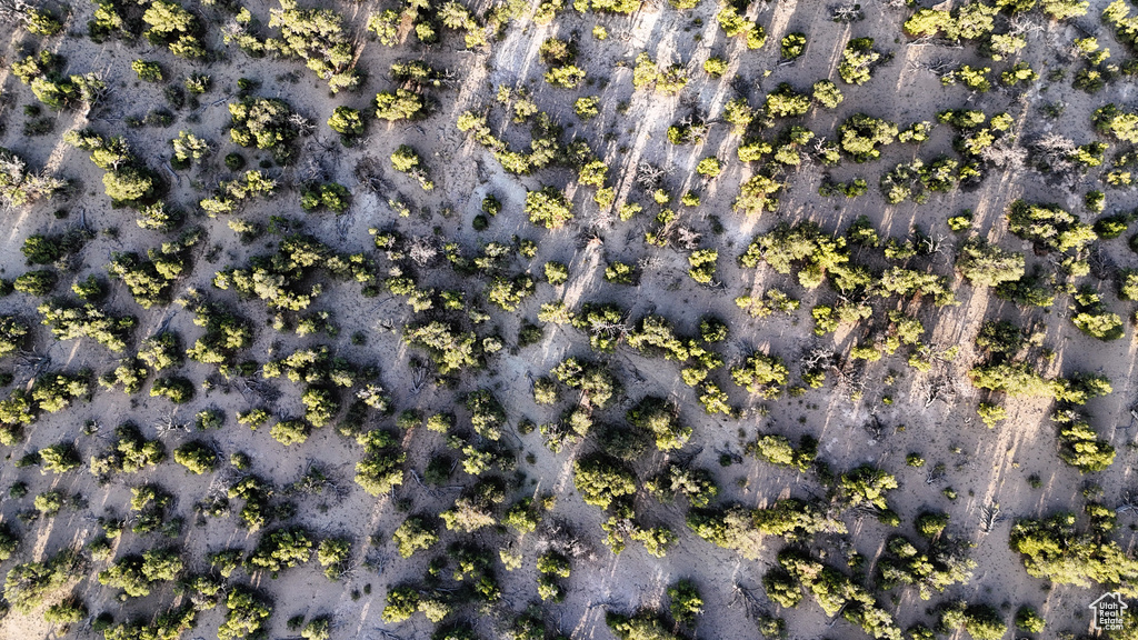 123  TBD PROUT WASH RD Cedar City, UT 84721