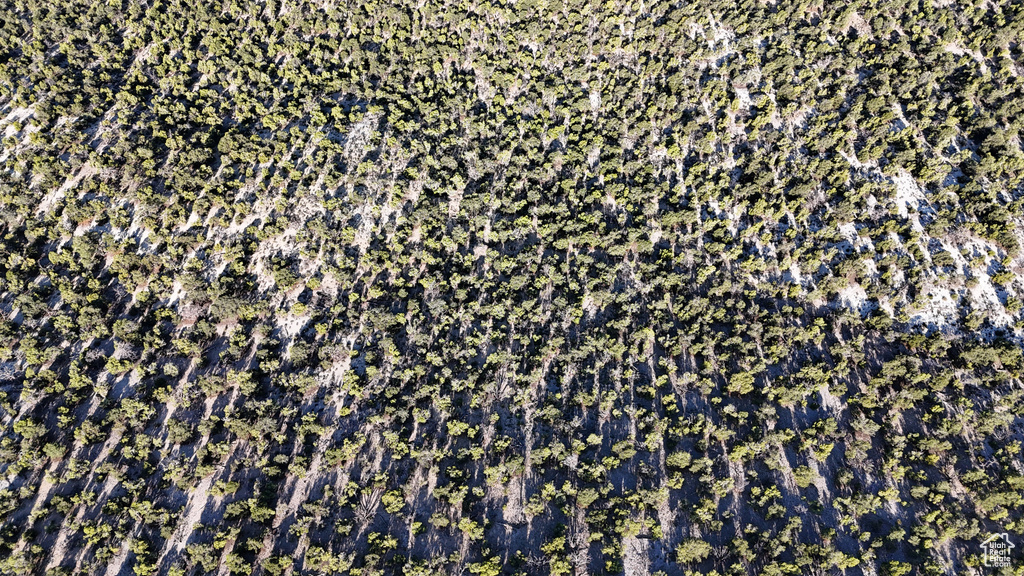 123  TBD PROUT WASH RD Cedar City, UT 84721