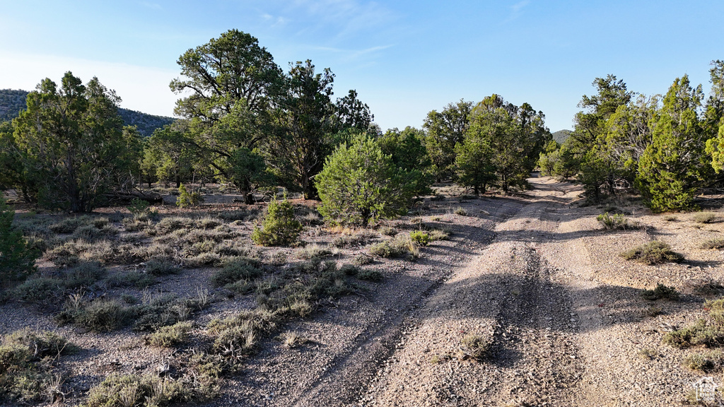 123  TBD PROUT WASH RD Cedar City, UT 84721