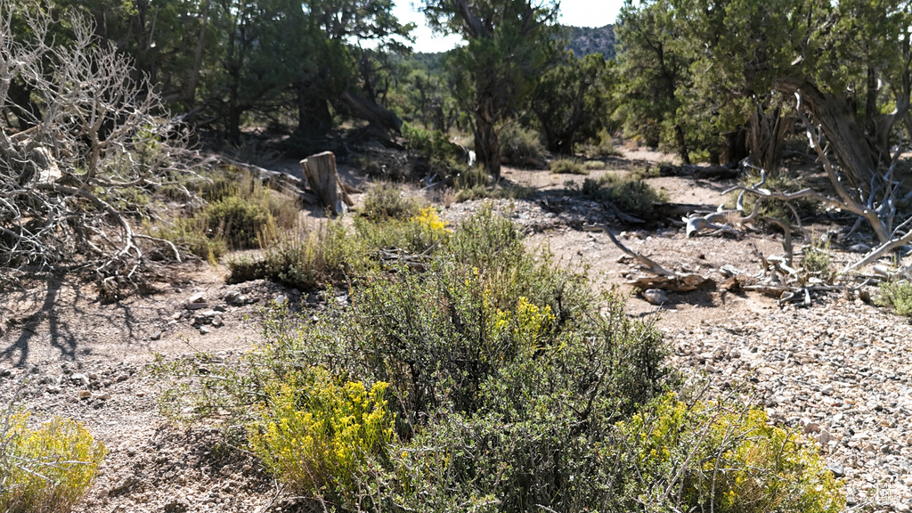 123  TBD PROUT WASH RD Cedar City, UT 84721