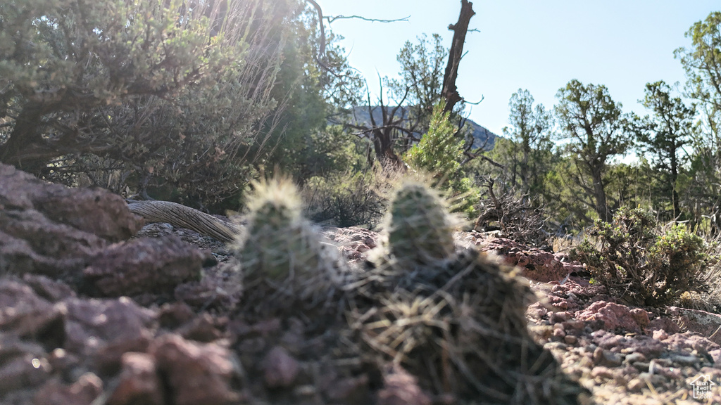 123  TBD PROUT WASH RD Cedar City, UT 84721