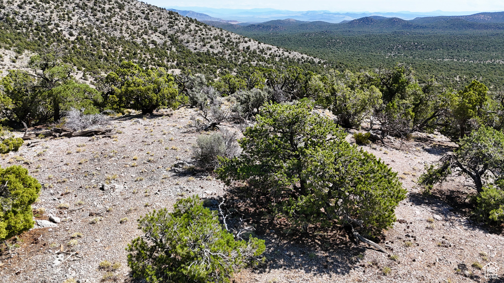 123  TBD PROUT WASH RD Cedar City, UT 84721