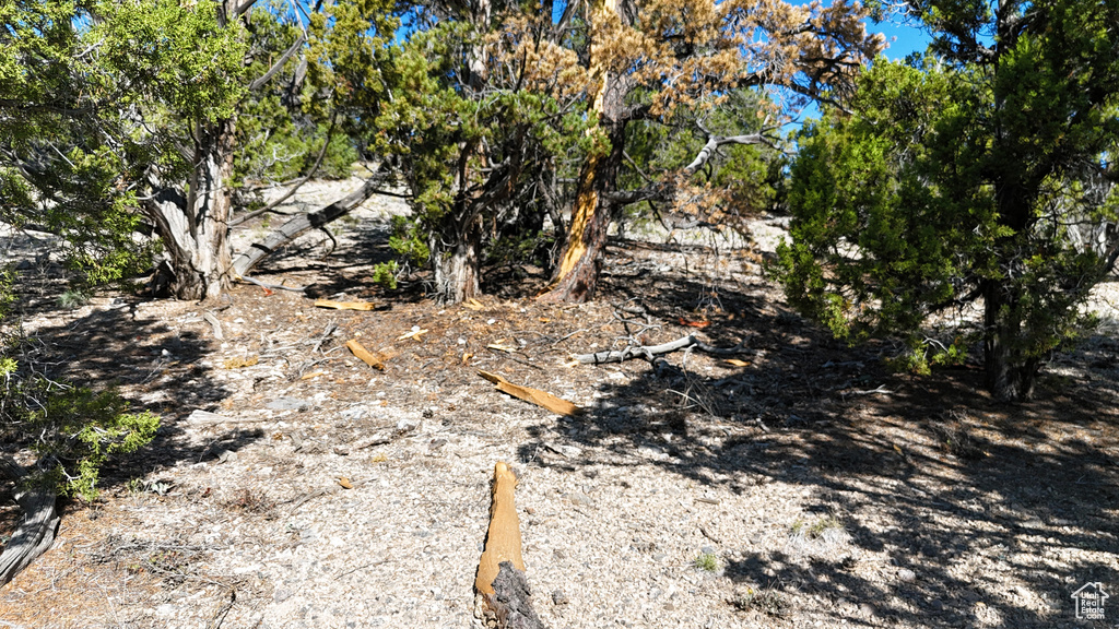 123  TBD PROUT WASH RD Cedar City, UT 84721