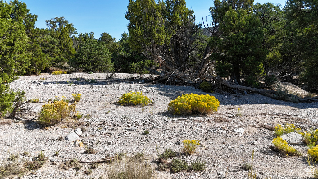 123  TBD PROUT WASH RD Cedar City, UT 84721