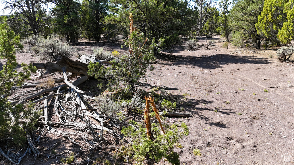 123  TBD PROUT WASH RD Cedar City, UT 84721