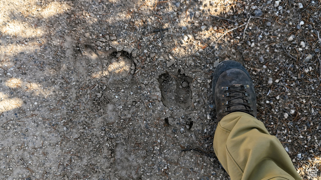 123  TBD PROUT WASH RD Cedar City, UT 84721