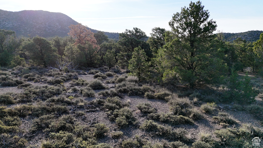 123  TBD PROUT WASH RD Cedar City, UT 84721