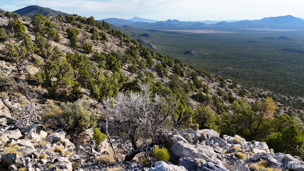 123  TBD PROUT WASH RD Cedar City, UT 84721