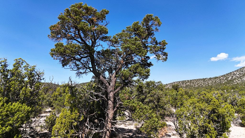 123  TBD PROUT WASH RD Cedar City, UT 84721