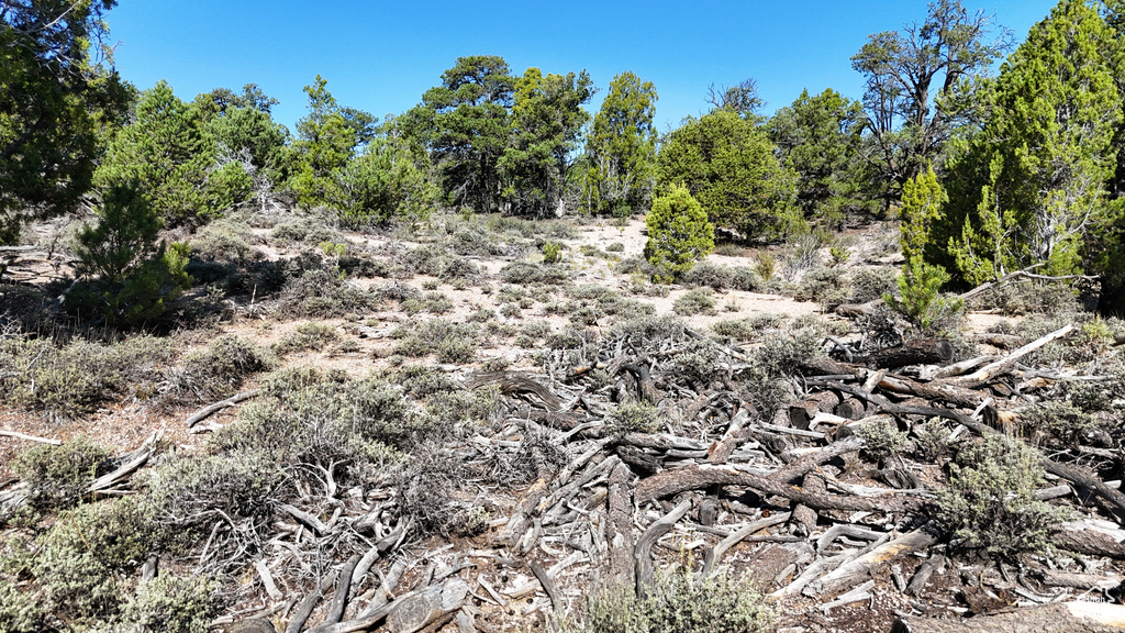 123  TBD PROUT WASH RD Cedar City, UT 84721