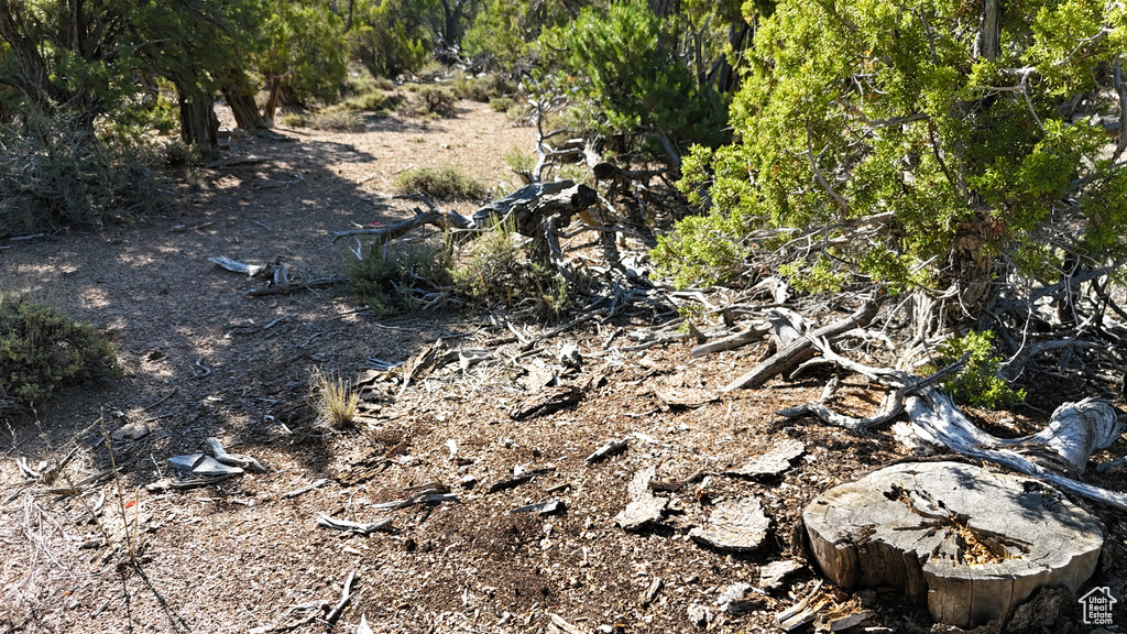 123  TBD PROUT WASH RD Cedar City, UT 84721