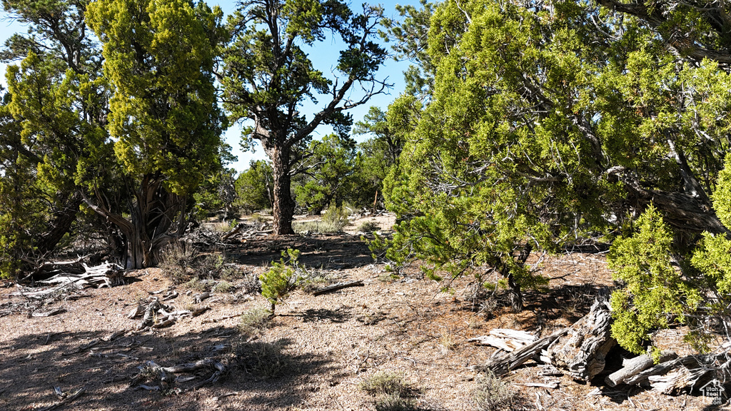 123  TBD PROUT WASH RD Cedar City, UT 84721