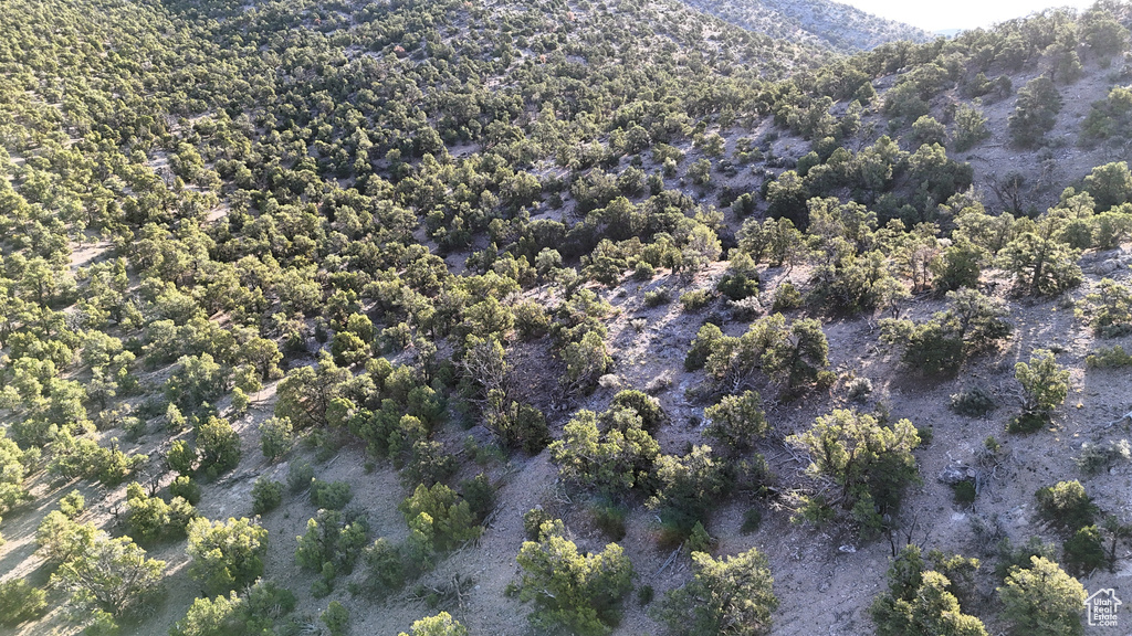 123  TBD PROUT WASH RD Cedar City, UT 84721