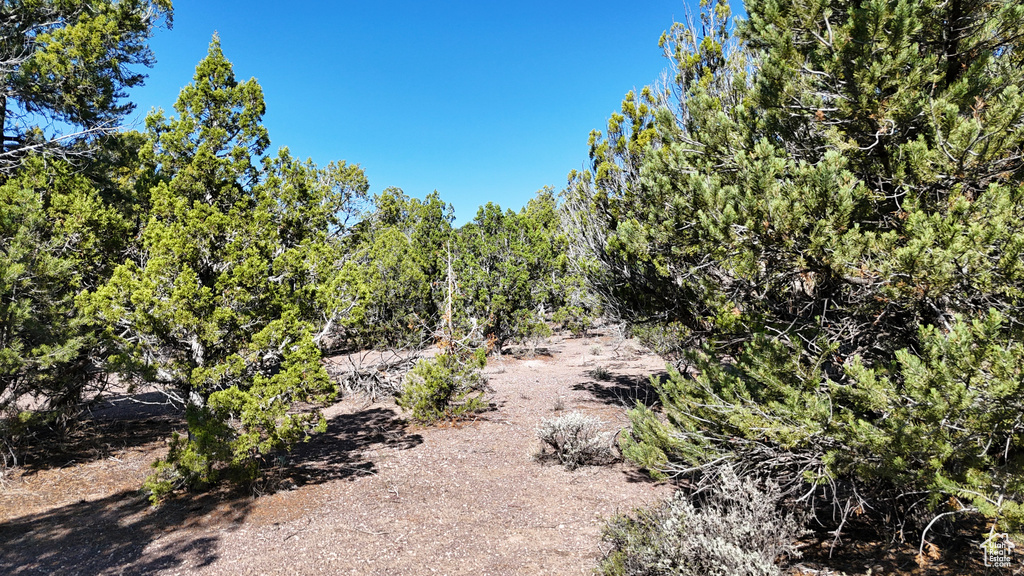 123  TBD PROUT WASH RD Cedar City, UT 84721