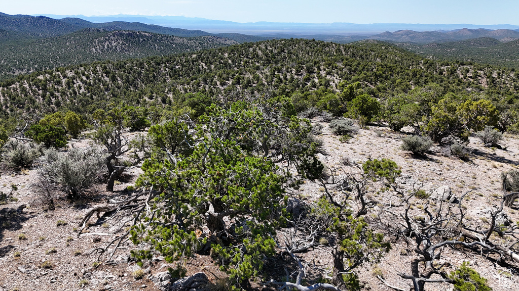 123  TBD PROUT WASH RD Cedar City, UT 84721