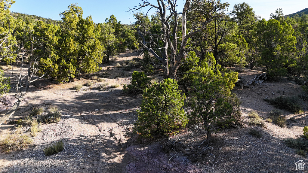 123  TBD PROUT WASH RD Cedar City, UT 84721