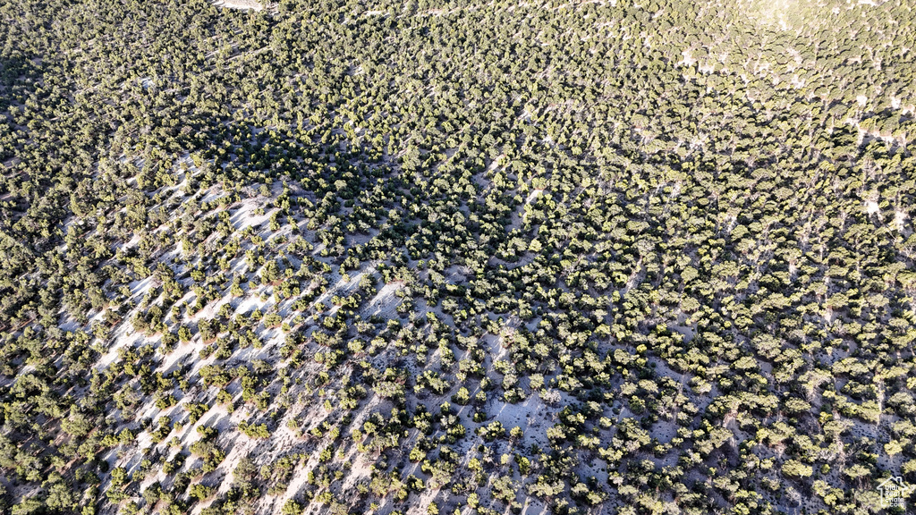 123  TBD PROUT WASH RD Cedar City, UT 84721