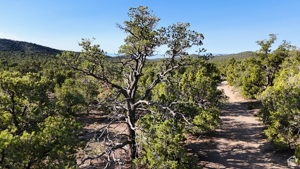 123  TBD PROUT WASH RD Cedar City, UT 84721