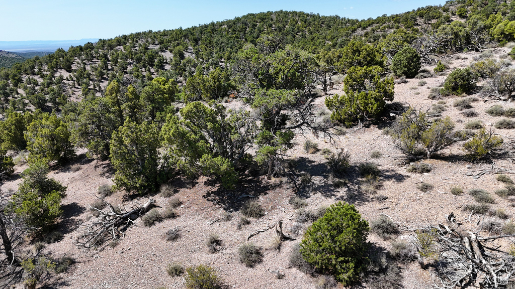 123  TBD PROUT WASH RD Cedar City, UT 84721