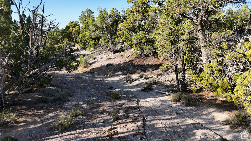 123  TBD PROUT WASH RD Cedar City, UT 84721