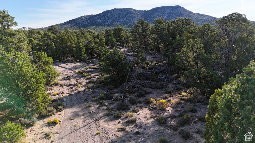 123  TBD PROUT WASH RD Cedar City, UT 84721