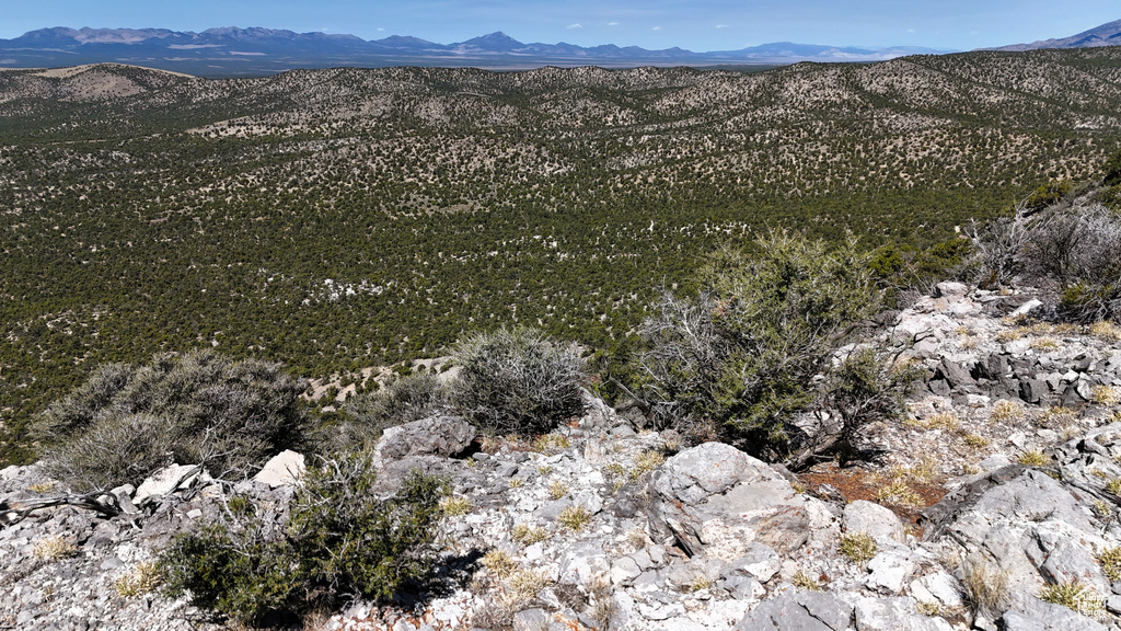 123  TBD PROUT WASH RD Cedar City, UT 84721