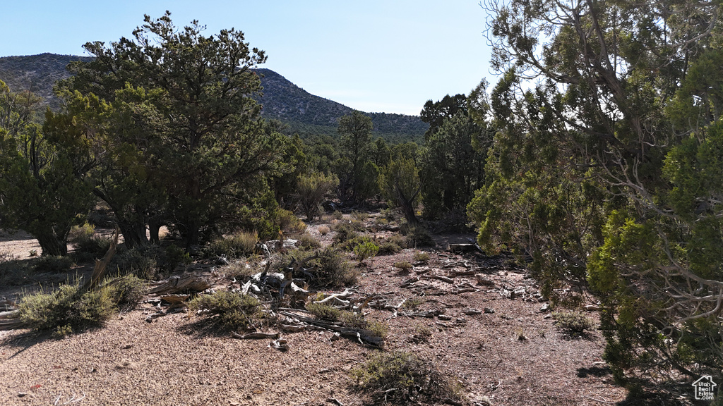 123  TBD PROUT WASH RD Cedar City, UT 84721