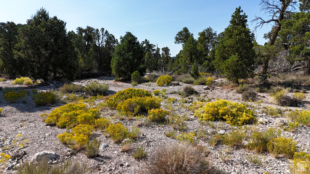 123  TBD PROUT WASH RD Cedar City, UT 84721