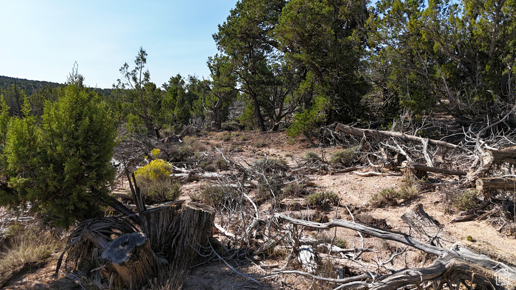 123  TBD PROUT WASH RD Cedar City, UT 84721