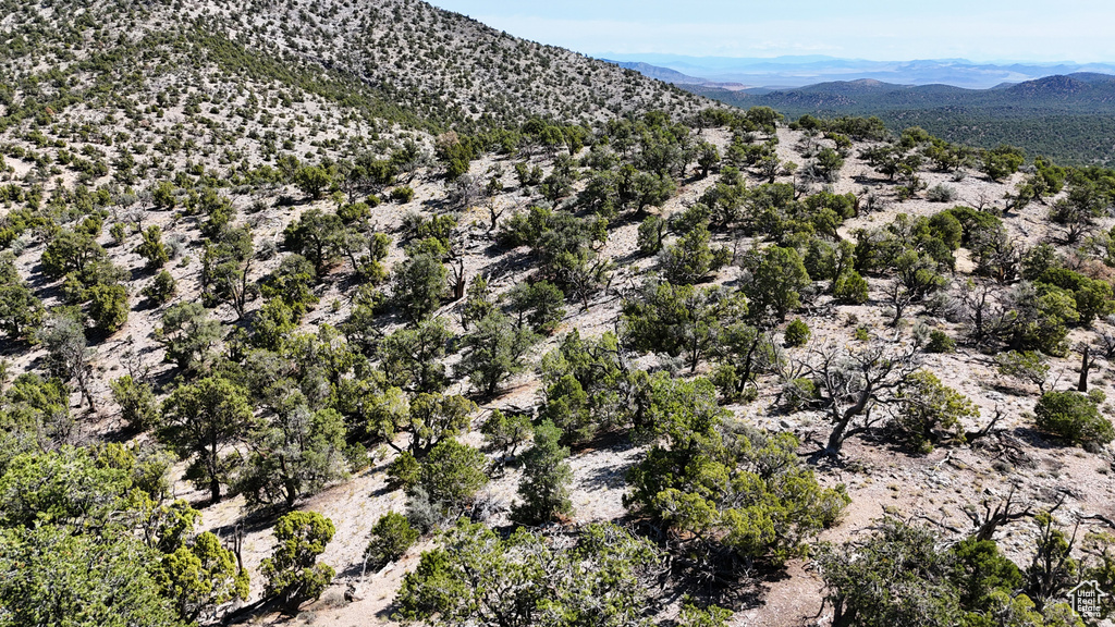 123  TBD PROUT WASH RD Cedar City, UT 84721