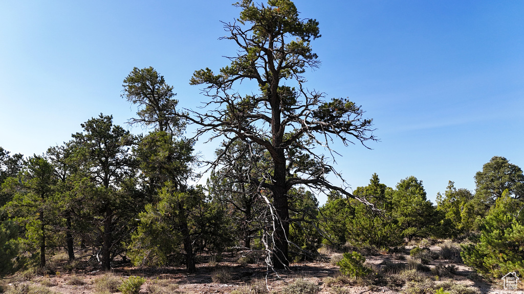 123  TBD PROUT WASH RD Cedar City, UT 84721