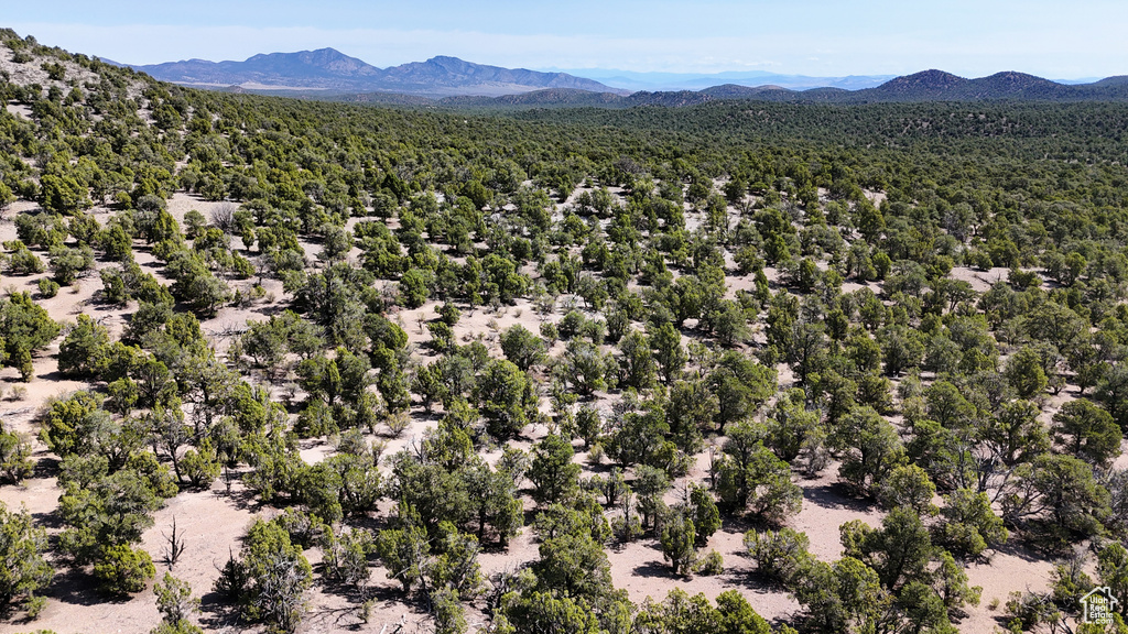 123  TBD PROUT WASH RD Cedar City, UT 84721